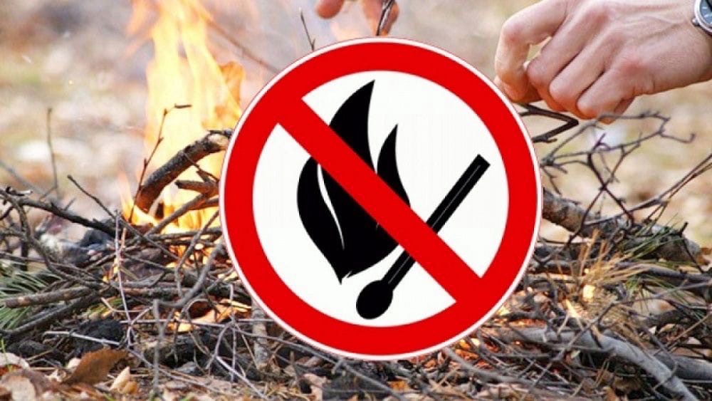Постановление № 55 от 23.04.2025 «О введении особого противопожарного режима на территории муниципального образования «Новоселовское сельское поселение»».