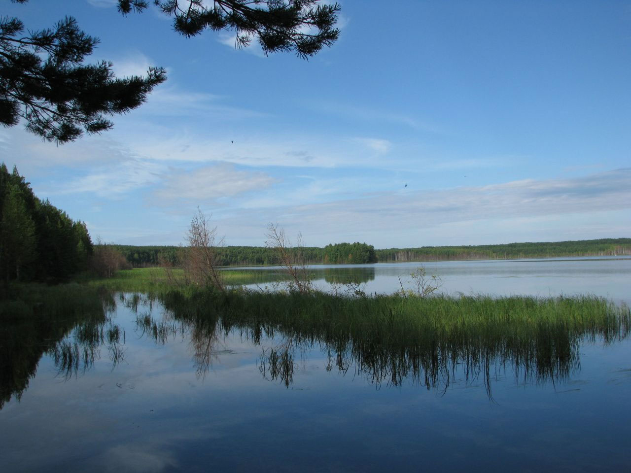 Светлое озеро.